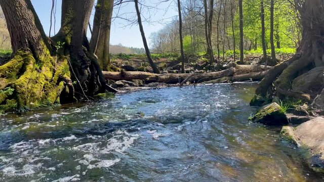 Stream flowing continuously through colorful park on sunny summer day.