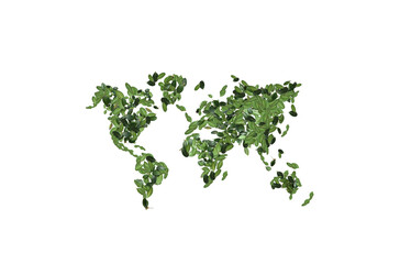 
world map shape made of green leaves isolated on white background. Save and protection Earth.world environment day