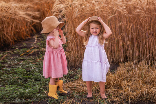 Two little sister girls in straw hats and pink dresses stand by a golden field of wheat and rye. Girls have fun, dancing, fooling around. Walk, travel in the countryside. Agrotour to the farm