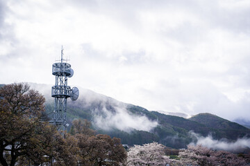 霧