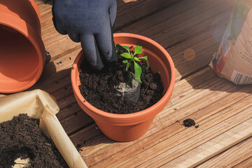 Fototapete bei efototapeten.de bestellen   