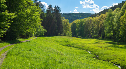 Idyllische Berglandschaft - das Haseltal in Bad Orb