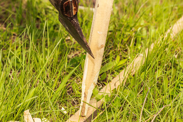 Close up of an axe cutting wooden stake on the grass