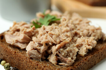 Sandwich with tasty canned tuna, close up