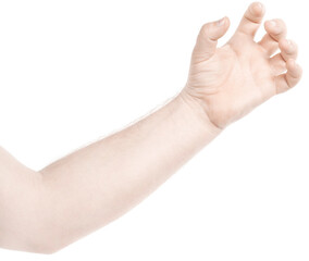 Male caucasian hands  isolated white background showing  gesture holds something or takes, gives. man hands showing different gestures