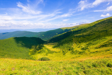 Fototapeta na wymiar grass on the steep hill. view in to the distant valleys and Gorgany ridge beneath a blue sky with clouds. wonderful summer landscape on a sunny weather in carpathian mountains