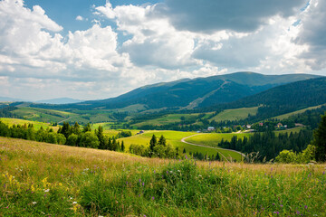 carpathian mountain rural landscape in summer. forest on the grassy meadow. fields and pastures on the distant hills. sunny scenery with fluffy clouds on the blue sky in afternoon light