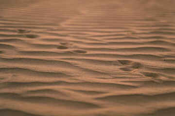 Sand pattern with wavy lines