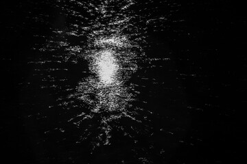 Water drops on a birch in the dark. Rain in the light of a fanlight.