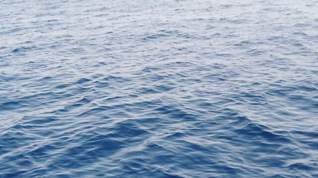 Vue de haut en slow motion sur la mer avec plusieurs oiseaux qui volent au raz de l'eau