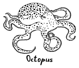 Live octopus with tentacles. Hand drawn isolated illustration with the inscription on a white background