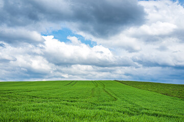 Green field and blue sky white cloud nature background.Farmland. Beautiful field against blue sky with white clouds.