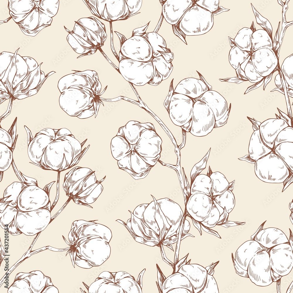 Poster Seamless repeatable botanical pattern with soft fluffy cotton flower branches. Vintage design of endless floral background for printing. Hand-drawn vector illustration for wrapping in retro style