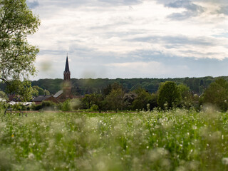 Landscape with meadow during spring and a church tower in a village. Dark forest in the background. The sky is cloudy.