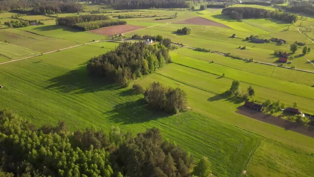 Agricultural landscape in the Polish countryside