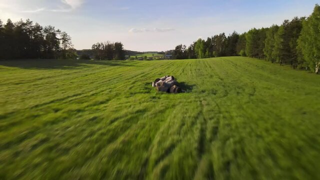 Agricultural landscape in the Polish countryside
