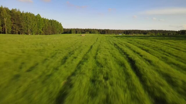 Agricultural landscape in the Polish countryside