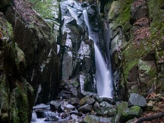 Obraz premium 新緑の快適な滝