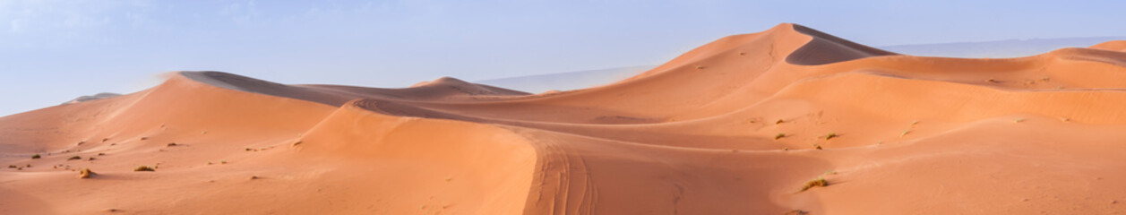 Sand Dune in the Sahara / In the Sahara Desert, sand dunes to the horizon, Morocco, Africa.