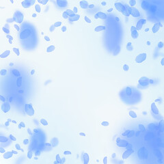 Dark blue flower petals falling down. Captivating