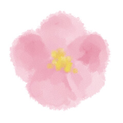 イラスト素材　水彩　花　手描き　ピンク