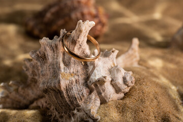 golden ring underwater on the sand next to the seashells