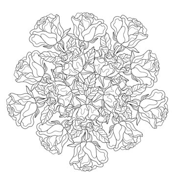Doodle roses with leaves on a white isolated background. Flower mandala for coloring book pages.