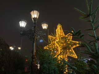 christmas tree lights. christmas lights on a tree.  - Powered by Adobe
