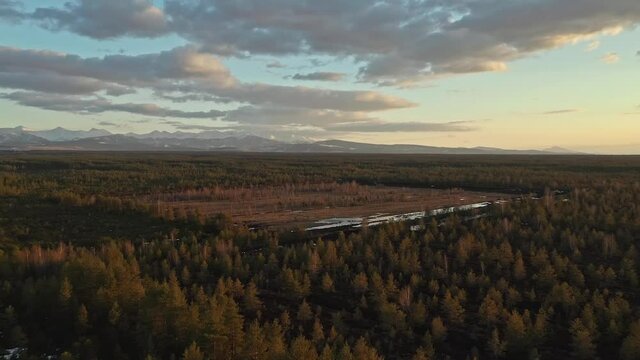 Scenic View Of Lush Forests In Torfowisko In The Afternoon - aerial shot