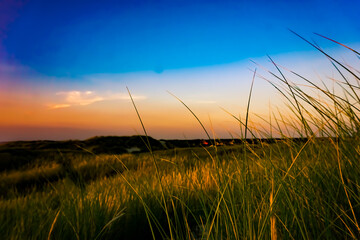 sunset in the dunes