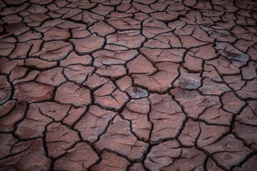 Dry cracked earth