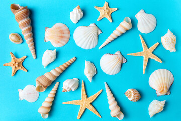 Set of various sea shells and starfishes on a blue background as a summer backdrop
