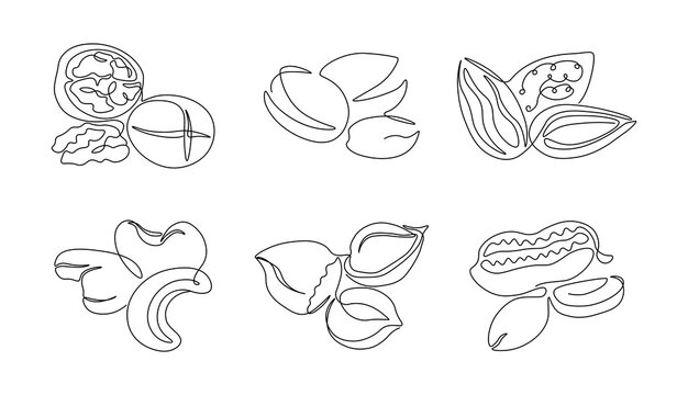 One line nuts. Continuous line healthy nutrition, walnuts pistachios hazelnut peanut cashew monoline nut set. Vector isolated lines