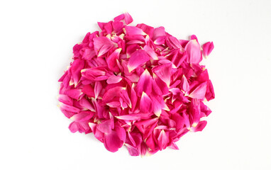 Obraz premium Pink organic rose petals isolated on white background