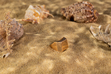 golden ring underwater on the sand next to the seashells