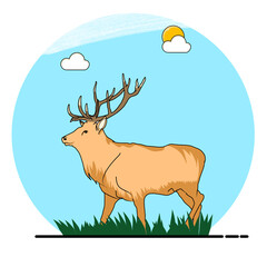 Deer illustration, Flat vector illustration isolated in the background during the day background.