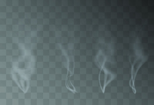 Pog5el63mx5bmm Pog5el63mx5bmm