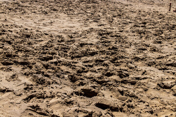 Closeup surface of sand dune in dark mood. The field is roughly tramped and there are many cracks on the surface.