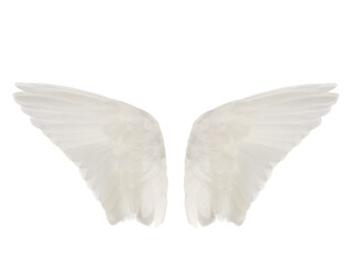 Fototapeta na wymiar White wings similar to angelic isolated on white background