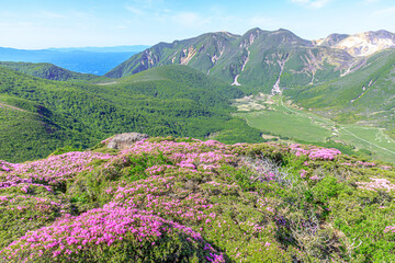 ミヤマキリシマとくじゅう連山　平治岳　大分県　Miyama Kirishima and Kuju Mountain Range Mt.Hijidake Ooita-ken