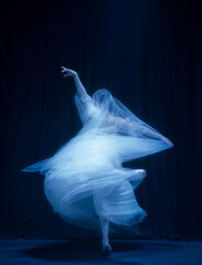 Loneliness. Young graceful beautiful woman, balerina in white wedding dress in art performance. © Lustre Art Group 