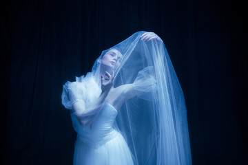 Loneliness. Young graceful beautiful woman, balerina in white wedding dress in art performance. © Lustre Art Group 