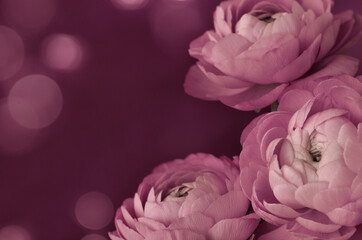 Floral corner arrangement with ranunculus flowers on pink bokeh