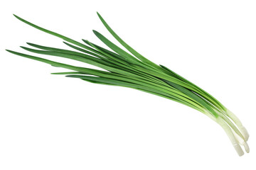 Bunch of green onions Isolated on white background, top view.