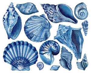 Set of blue seashells - conch, shell, and cockle-shell. Sea shells watercolor hand drawn illustration set isolated on white background for banner, poster, print, postcard, textile, template, card - obrazy, fototapety, plakaty