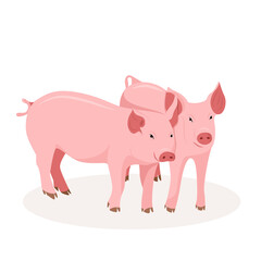 Two cute pigs. Country pet. Isolated character on a white background. Vector illustration in a flat style.