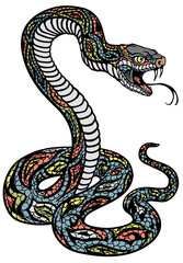 a poisonous snake in a defensive position. Attacking posture. Tattoo style isolated vector illustration