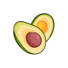 Whole and cut avocado hand drawn cartoon illustration Vector
