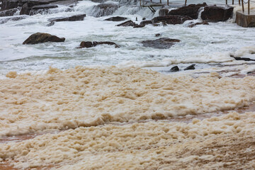 Sea foam created by the agitation of sea water washed up on Avalon Beach in Sydney during wild...