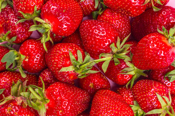 Background from ripe juicy strawberries. Fruit summer background.
